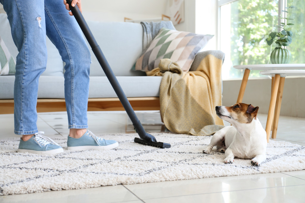 Les étapes d’un ménage efficace lorsque l’on a un animal