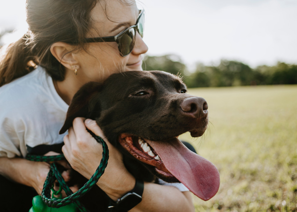 Comment occuper son chien la journée ?