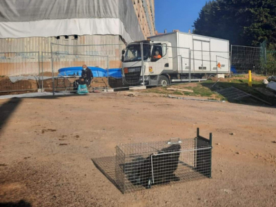 Un chat coincé dans un immeuble prêt à exploser vient d’être sauvé