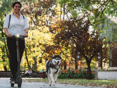 En balade avec son chien, il gratte le sol et fait une découverte émouvante