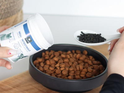Santé digestive du chien et du chat : comprendre, prévenir et agir