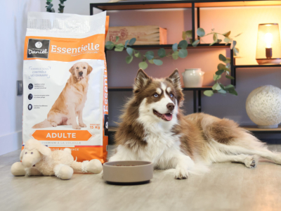 Transition alimentaire chien et chat : comment changer de croquettes en douceur ?