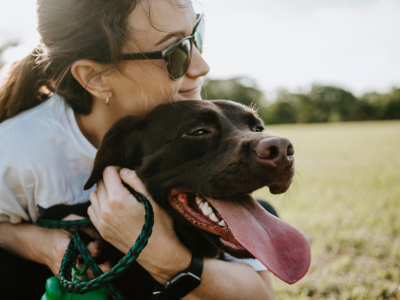Comment occuper son chien la journée ?
