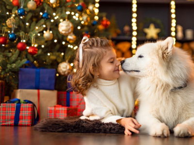 7 idées de cadeaux de Noël pour votre chien
