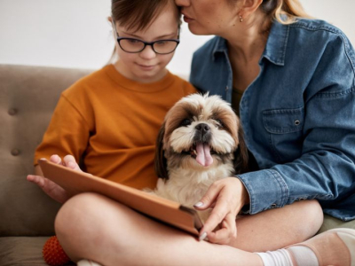 Panse de boeuf - nampetfood viande séchée ideale en récompense