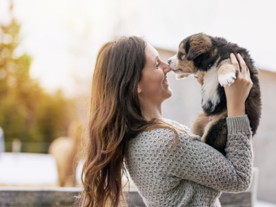 5 conseils pour accueillir un nouvel animal